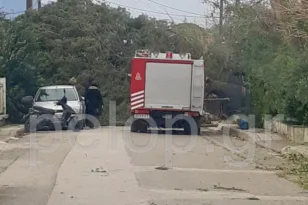 Πτώση δέντρου στην οδό Δ. Ακρίτα – Προβλήματα από την κακοκαιρία στην Πάτρα ΦΩΤΟ