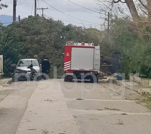 Πτώση δέντρου στην οδό Δ. Ακρίτα – Προβλήματα από την κακοκαιρία στην Πάτρα ΦΩΤΟ