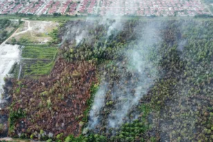 Αυστραλία: Το «κύμα» καύσωνα σαρώνει πολιτείες, χιλιάδες νοικοκυριά χωρίς ρεύμα ΒΙΝΤΕΟ