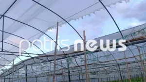 Ανεμοστρόβιλος σήκωσε στον αέρα ΙΧ, εικόνες τρόμου στο Γιαννιτσοχώρι Ηλείας, ΦΩΤΟ, ΒΙΝΤΕΟ