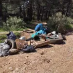 Υπόμνημα στον Νίκο Δένδια από την κοινότητα Ελεκίστρας: «Ελευθερώστε» το δάσος δίπλα από τη ΜΟΜΑ ΦΩΤΟ