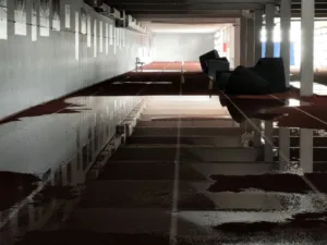 «Ο κόμπος έφτασε στο χτένι, οι αντοχές μας και η ανοχή στην κοροϊδία εξαντλήθηκαν», ο ΣΕΓΑΣ για τις εικόνες καταστροφής στο ΟΑΚΑ, ΦΩΤΟ «Ο κόμπος έφτασε στο χτένι, οι αντοχές μας και η ανοχή στην κοροϊδία εξαντλήθηκαν», ο ΣΕΓΑΣ για τις εικόνες καταστροφής στο ΟΑΚΑ, ΦΩΤΟ