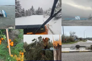 Καταστροφές από θυελλώδεις ανέμους σε Ευηνοχώρι και Ναυπακτία – Σοβαρές ζημιές σε καλλιέργειες, σχολεία και υποδομές