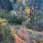 Υπόμνημα στον Νίκο Δένδια από την κοινότητα Ελεκίστρας: «Ελευθερώστε» το δάσος δίπλα από τη ΜΟΜΑ ΦΩΤΟ