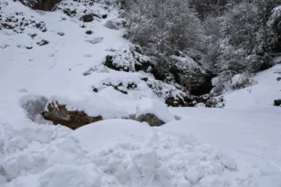Πυκνό χιόνι σε Κρίκελο, Φουρνά, Παύλιανη, Περτούλι, Τρίκαλα Κορινθίας