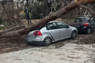 Πάτρα: Δένδρο κατεδαφίστηκε από την κακοκαιρία και προσγειώθηκε σε ΙΧ στο πάρκινγκ του Καραμανδάνειου! ΦΩΤΟ