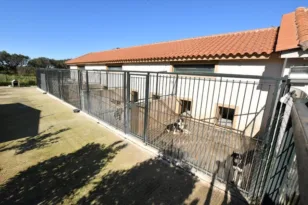 Πάτρα – Δημοτικό καταφύγιο αδέσποτων ζώων: Στα σκαριά επέκταση του χώρου