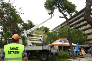 Πάτρα: Κλάδεμα δένδρων στην Έλληνος Στρατιώτου την Κυριακή