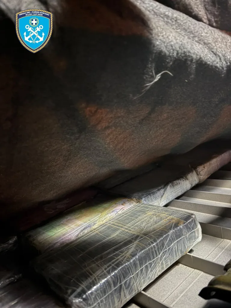 Πάτρα: Γιγαντιαία επιχείρηση του Λιμενικού – Πάνω από 178 κιλά ναρκωτικών σε φορτηγό από Ιταλία, δύο συλλήψεις ΦΩΤΟ