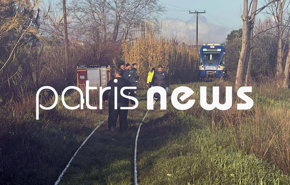 Πτώση πεύκου σε τρένο στη γραμμή Πύργος - Κατάκολο ΒΙΝΤΕΟ