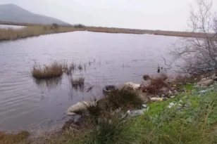 Αιτωλικό: Πέταξαν νεκρά πρόβατα στην λιμνοθάλασσα ΦΩΤΟ