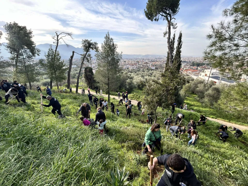 Ξεκίνησε η αναδάσωση στα καμμένα του Γηροκομειού - Την αρχή έκανε η ΝΕΠ Ξεκίνησε η αναδάσωση στα καμμένα του Γηροκομειού - Την αρχή έκανε η ΝΕΠ
