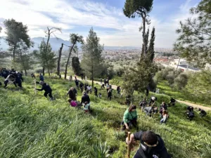 Ξεκίνησε η αναδάσωση στα καμμένα του Γηροκομειού - Την αρχή έκανε η ΝΕΠ