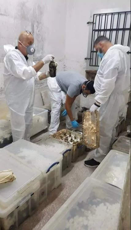 Από την κάβα του Τατοΐου στην Achaia Clauss: Οι φιάλες μάρτυρες πολύτιμης ιστορίας ΠΟΛΛΕΣ ΦΩΤΟΓΡΑΦΙΕΣ Από την κάβα του Τατοΐου στην Achaia Clauss: Οι φιάλες μάρτυρες πολύτιμης ιστορίας ΠΟΛΛΕΣ ΦΩΤΟΓΡΑΦΙΕΣ