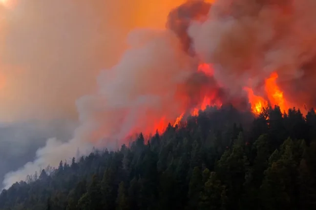 Αργεντινή: Κήρυξη έκτακτης ανάγκης λόγω των δασικών πυρκαγιών
