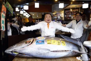 Ιαπωνία: Τόνος πωλήθηκε για 2,7 εκατ. ευρώ στο Τόκιο