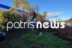 Πτώση πεύκου σε τρένο στη γραμμή Πύργος- Κατάκολο