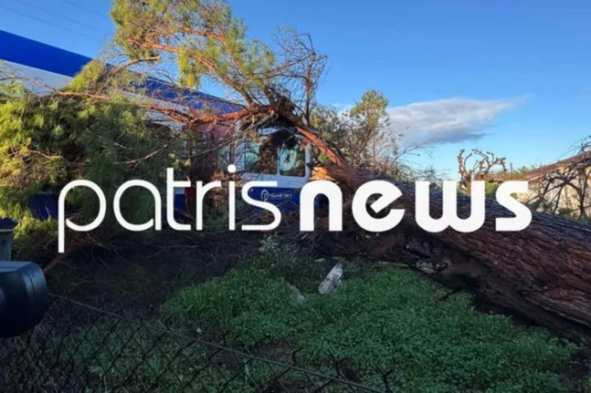 Πτώση πεύκου σε τρένο στη γραμμή Πύργος- Κατάκολο