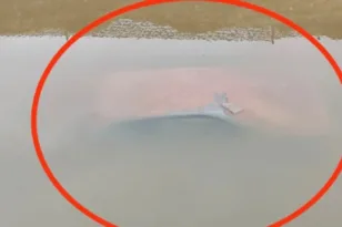 Βάρη: Στο φως αυτοκίνητο στο ρέμα Κόρμπι μετά την κακοκαιρία ΒΙΝΤΕΟ