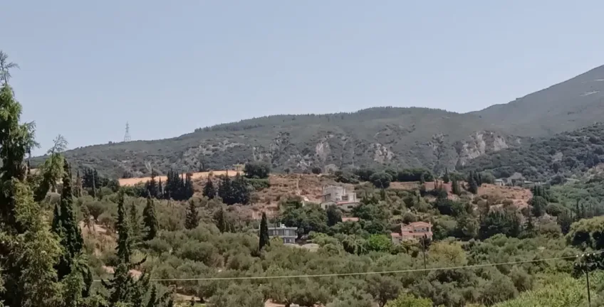 Πάτρα: Στόχος εισβολέων ιδιοκτησίες στο Ρωμανό ΦΩΤΟ