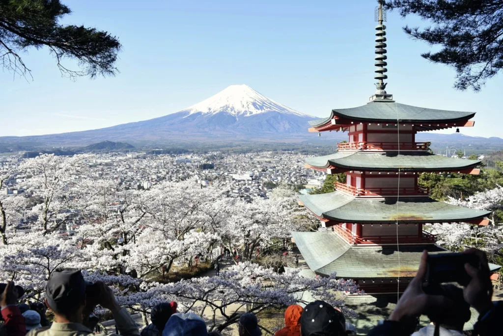 Ιαπωνία: Ακυρώνεται το φεστιβάλ ανθισμένων κερασιών λόγω μαζικού τουρισμού