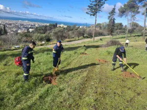 ΚΟΙΝ.Σ.ΕΠ. Liofyllo: «Με επιτυχία η δράση αναδάσωσης στο Αλσος Γηροκομείου»