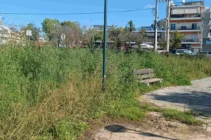 Νέο… άλσος στην Πάτρα: Τα αγριόχορτα έχουν φθάσει σε ύψος το 1,5 μέτρο