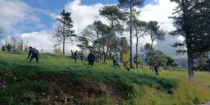 ΚΟΙΝ.Σ.ΕΠ. Liofyllo: «Με επιτυχία η δράση αναδάσωσης στο Αλσος Γηροκομείου»