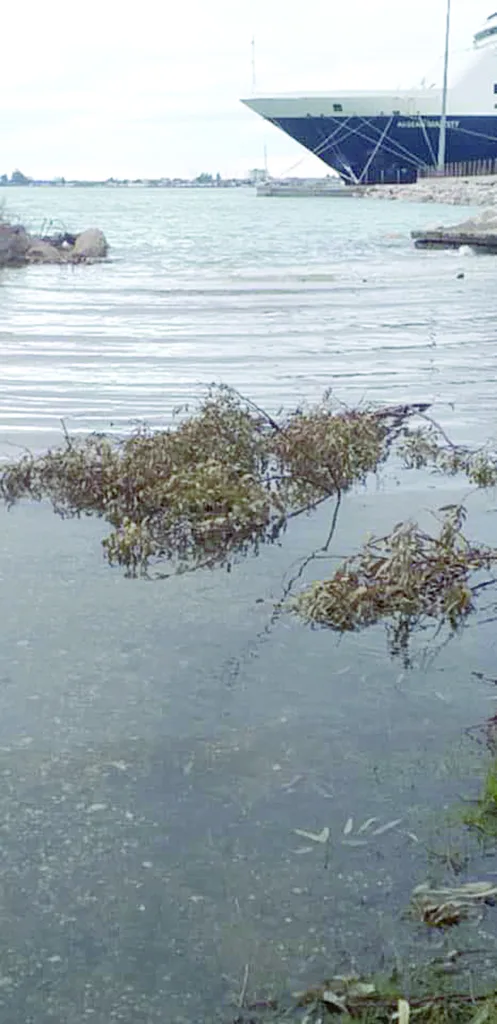 Επλήγη το παραλιακό μέτωπο της Αιγιάλειας: Βγήκαν στη στεριά θάλασσα και πέτρες... Επλήγη το παραλιακό μέτωπο της Αιγιάλειας: Βγήκαν στη στεριά θάλασσα και πέτρες...