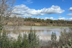 Σε επιφυλακή η Ηλεία: Ο Αλφειός «φούσκωσε» και πλημμύρισε αγροτικές εκτάσεις
