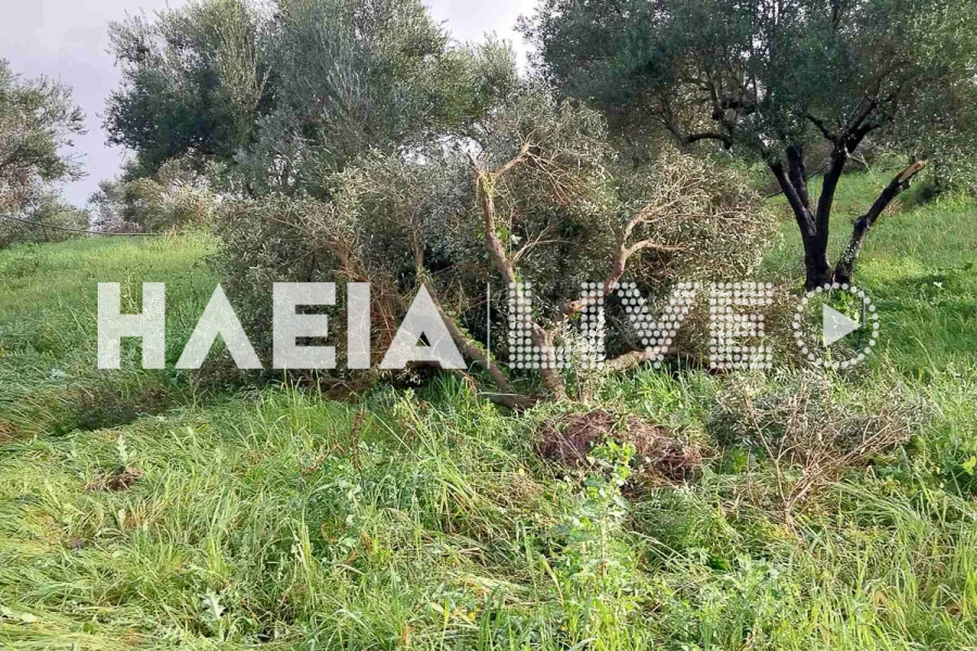 Ανεμοστρόβιλος «σάρωσε» την Ηλεία: Εκτεταμένες ζημιές σε Πύργο, Κατάκολο και γύρω περιοχές ΦΩΤΟ-ΒΙΝΤΕΟ