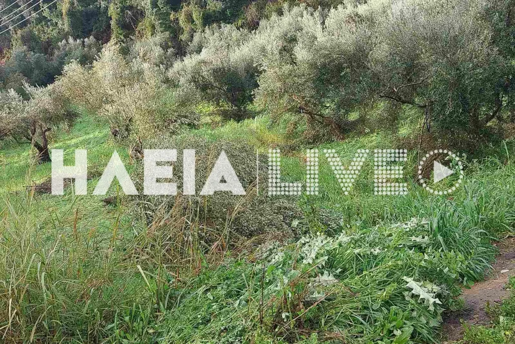 Ανεμοστρόβιλος «σάρωσε» την Ηλεία: Εκτεταμένες ζημιές σε Πύργο, Κατάκολο και γύρω περιοχές ΦΩΤΟ-ΒΙΝΤΕΟ