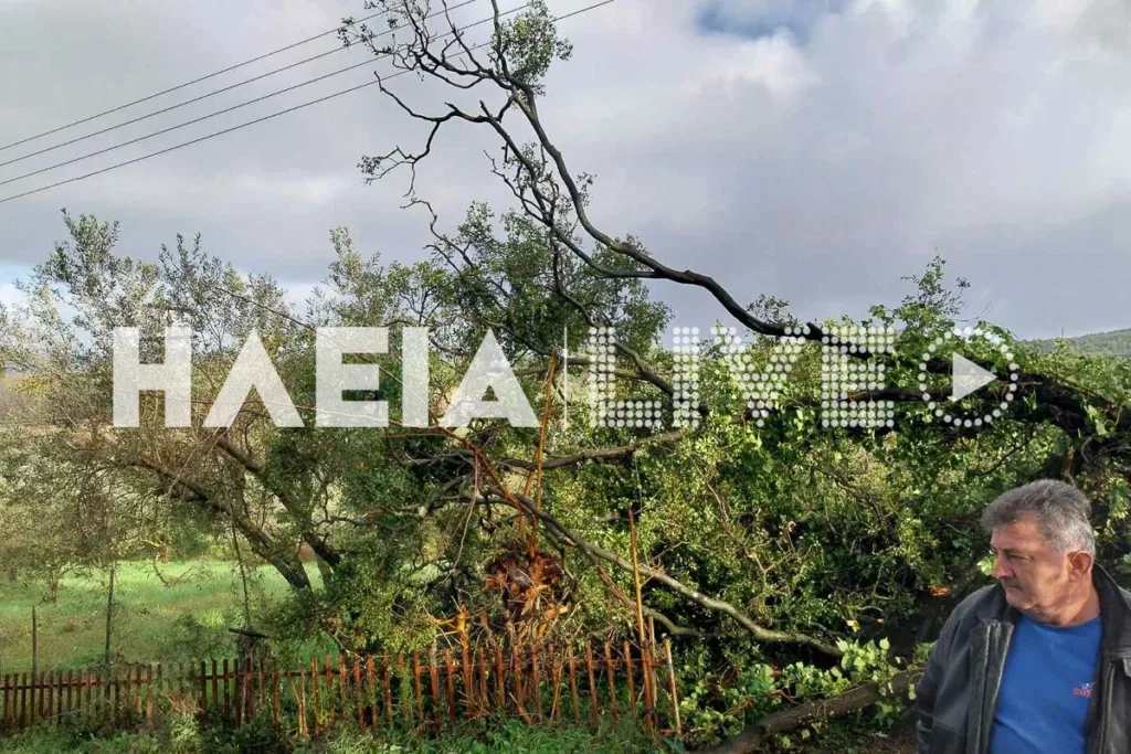 Ανεμοστρόβιλος «σάρωσε» την Ηλεία: Εκτεταμένες ζημιές σε Πύργο, Κατάκολο και γύρω περιοχές ΦΩΤΟ-ΒΙΝΤΕΟ