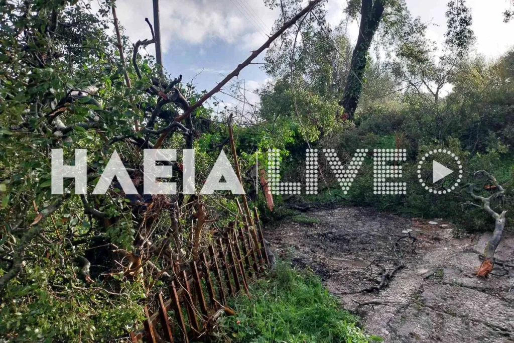 Ανεμοστρόβιλος «σάρωσε» την Ηλεία: Εκτεταμένες ζημιές σε Πύργο, Κατάκολο και γύρω περιοχές ΦΩΤΟ-ΒΙΝΤΕΟ