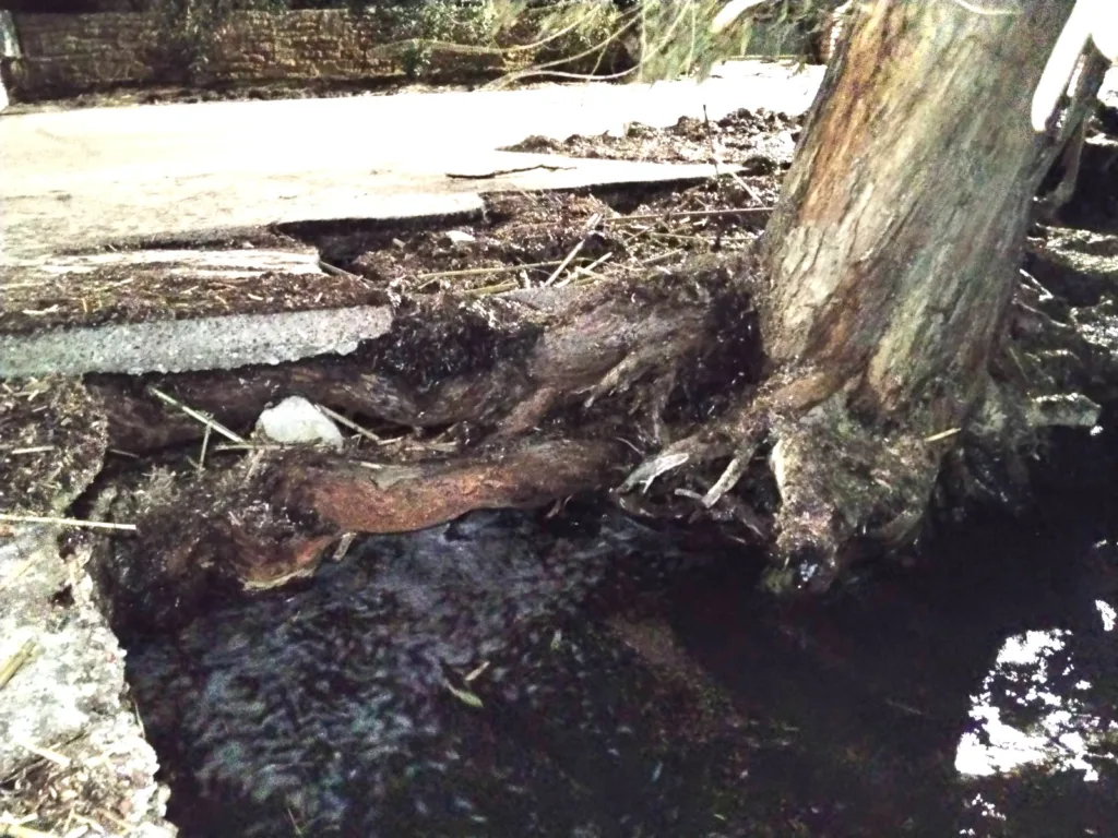 Βραχνέικα: Διαλύεται ο δρόμος - Απόγνωση κατοίκων για την παραλιακή διάβρωση