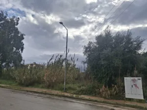 Τα λένε ΝΕΠ και Δήμος Πατρέων για το νέο κολυμβητήριο Τα λένε ΝΕΠ και Δήμος Πατρέων για το νέο κολυμβητήριο