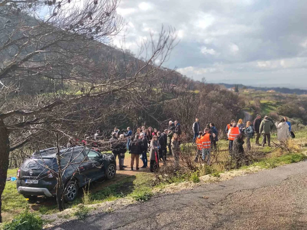 Πάτρα: Ετοιμα σε χρόνο-ρεκόρ τα αντιδιαβρωτικά έργα στα καμμένα ΦΩΤΟ