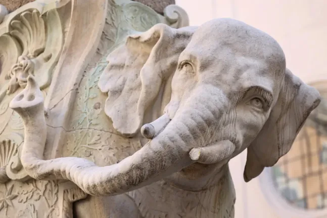 Ρώμη: Έσπασαν τον χαυλιόδοντα του διάσημου Elefantino