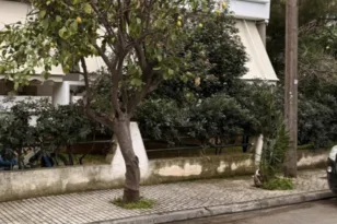 Ελευσίνα: Συγκλονίζουν οι μαρτυρίες για τον θάνατο 72χρονης – «Μαμά μου, άνοιξε τα μάτια σου»