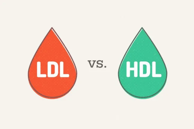 Τι πραγματικά προστατεύει την καρδιά; Ο ρόλος της HDL χοληστερόλης