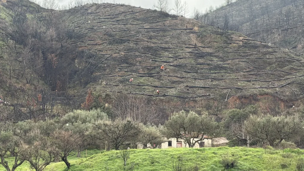 Πάτρα: Ετοιμα σε χρόνο-ρεκόρ τα αντιδιαβρωτικά έργα στα καμμένα ΦΩΤΟ