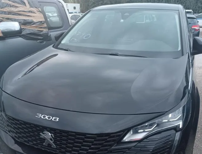 Πάτρα: Κύκλωμα πλούτιζε με παράνομο στοίχημα, πώς δρούσαν ΦΩΤΟ