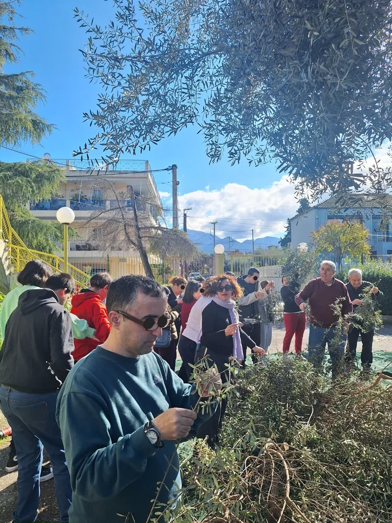 Τα παιδιά των ΚΔΑΠΑμεΑ «ΑΜΠΕΤ ΧΑΣΜΑΝ» και «ΚΟΜΑΙΘΩ» του ΚΟΔΗΠ μάζεψαν τις ελιές τους