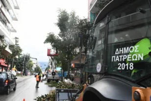 Παρεμβάσεις πρασίνου στην Πάτρα: Κλαδέματα φοινίκων στα Βραχνέικα και δέντρων στη Γούναρη ΦΩΤΟ