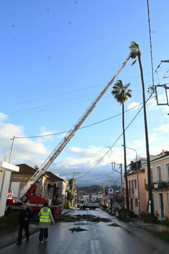 Παρεμβάσεις πρασίνου στην Πάτρα: Κλαδέματα φοινίκων στα Βραχνέικα και δέντρων στη Γούναρη ΦΩΤΟ
