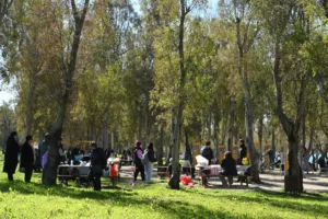 Πάτρα: Με κόσμο, μουσική και χαρταετούς η Καθαρά Δευτέρα στο θαλάσσιο μέτωπο μετά το Καρναβάλι ΦΩΤΟ