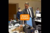 Η γάτα στο Μαξίμου: Ο Μητσοτάκης παρουσίασε την «Κλειώ» με βίντεο στα social
