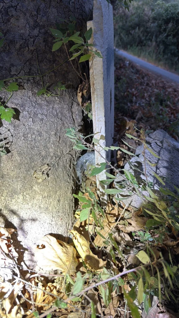 Αιτωλοακαρνανία: Κύκλωμα ναρκωτικών με στόχο ακόμη και μαθητές - Νέα υπόθεση στη Ναύπακτο ΦΩΤΟ