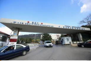 Δάγκωσε το αυτί του συντρόφου της και του έκοψε κομμάτι!