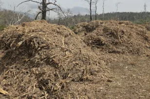 Καθαρισμός οικοπέδων: Επιφυλάξεις από τον Δήμο Πατρέων για την εφαρμογή των μέτρων, παράταση ως τις 15 Ιουνίου